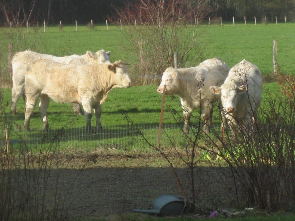 Willa Au Jardin Fleuri Vauxaillon Zewnętrze zdjęcie