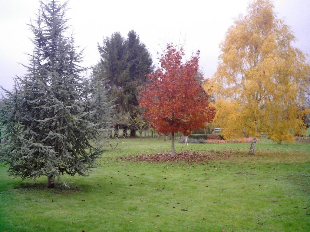 Willa Au Jardin Fleuri Vauxaillon Zewnętrze zdjęcie